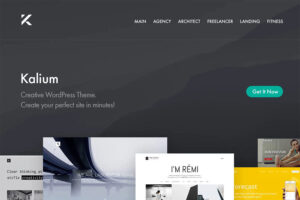 kalium-best-wordpress-business-themes