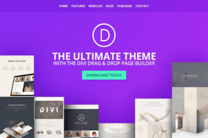 minimal multipurpose WordPress theme