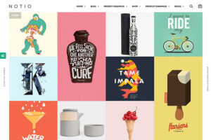 notio minimal portfolio theme