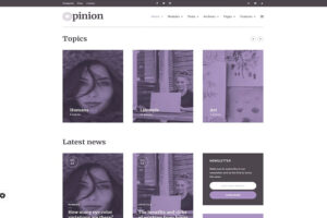 opinion feminine wordpress theme