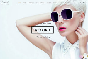 oshine minimal photography theme