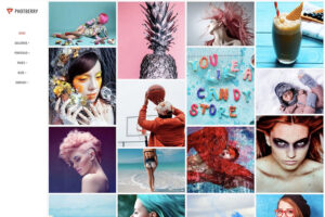 photberry interior design website template