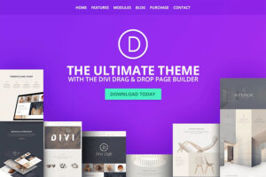 popular WooCommerce theme