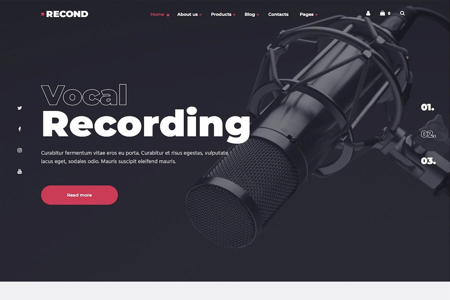 recond wordpress theme for musicians