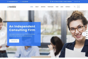 reobiz wordpress business theme