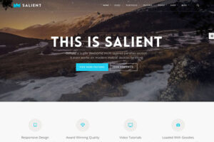 salient flat design wordpress theme