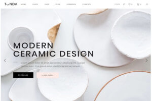 tonda best ecommerce wordpress theme