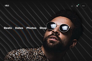 vex wordpress theme for musicians