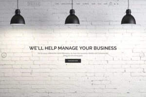 bridge seo optimized wordpress theme