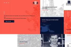 de Staat van Creatie