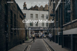 inspiro - fullscreen gallery theme