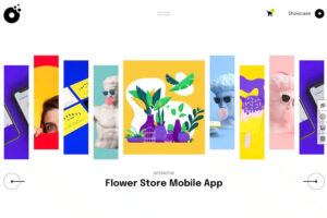 onovo portfolio wp theme