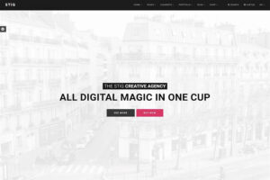 stig drupal ecommerce template