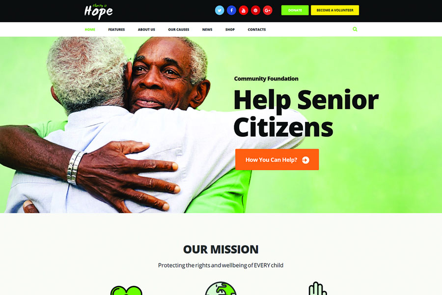 Hope Non-Profit, Charity Donations WordPress Theme RTL