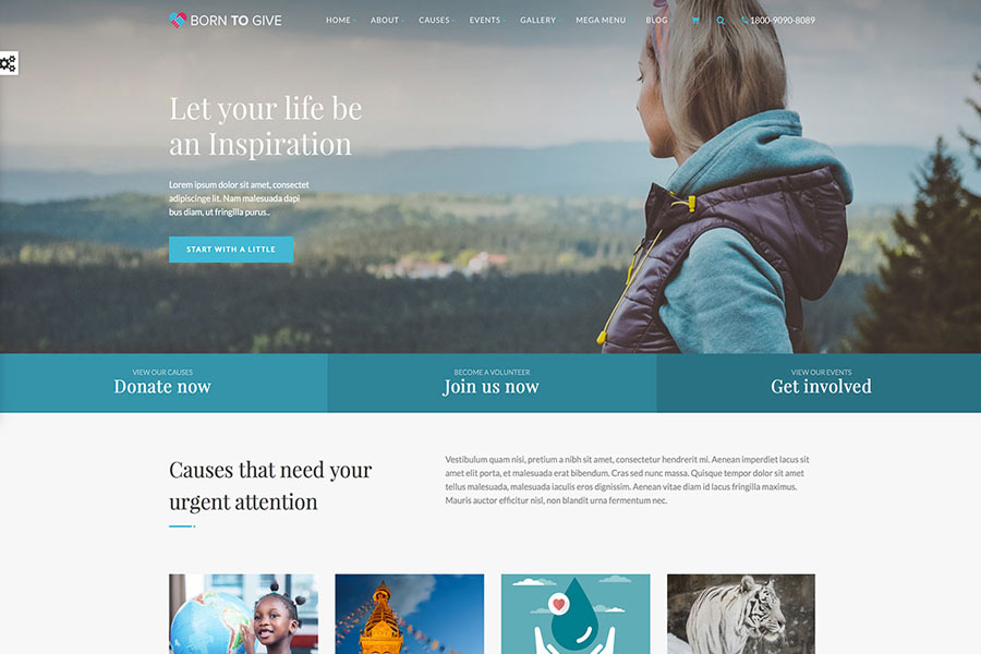 WordPress crowdfunding themes