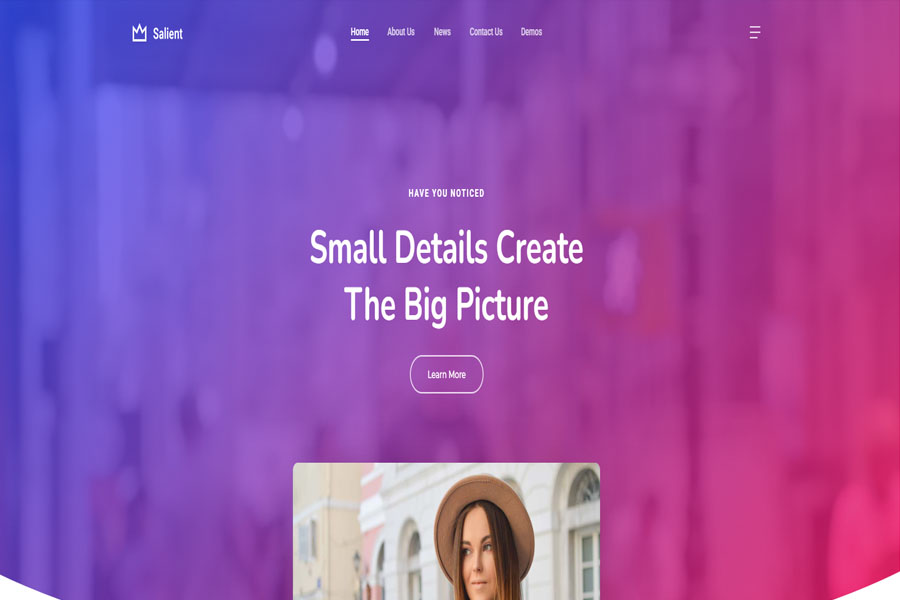 Salient accessible WordPress theme