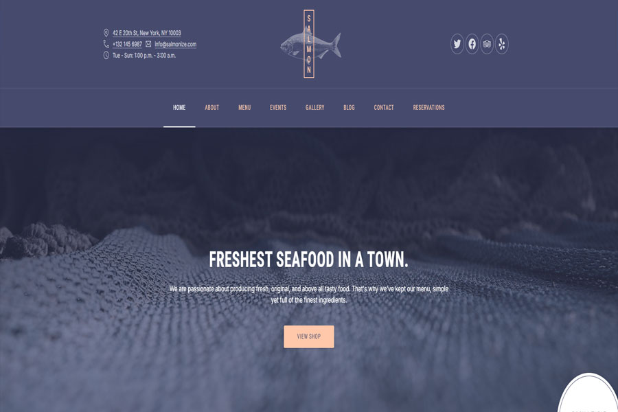 Salmon accessible WordPress theme