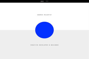 andrew mccarthy resume website