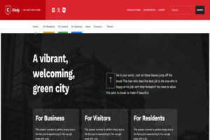 cindy accessible wordpress theme