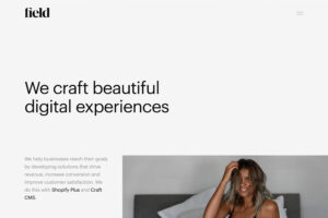 field simple website example