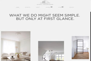 scope copenhagen clean website example