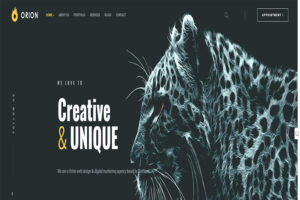 Orion WordPress Themes With Slider