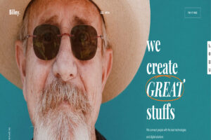 billey creative agency wordpress theme