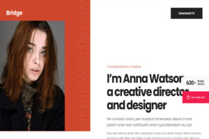 bridge wordpress theme for programmers