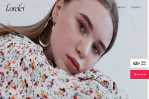 bridge wordpress theme with slider