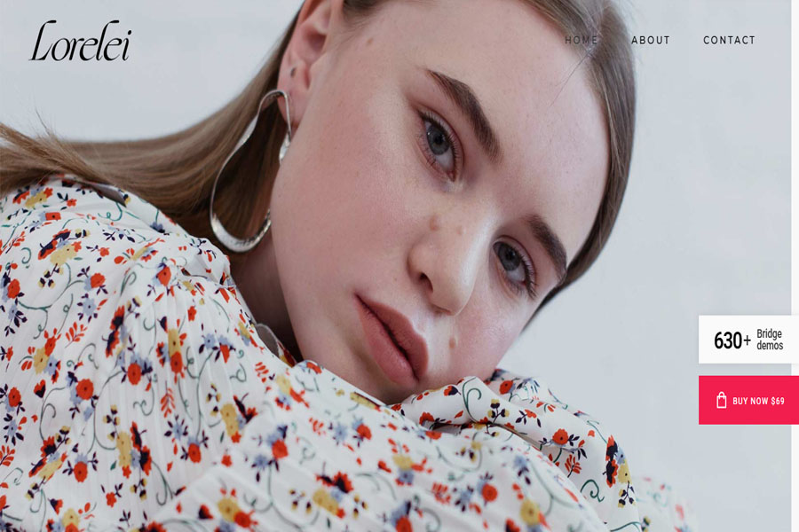 bridge wordpress theme with slider