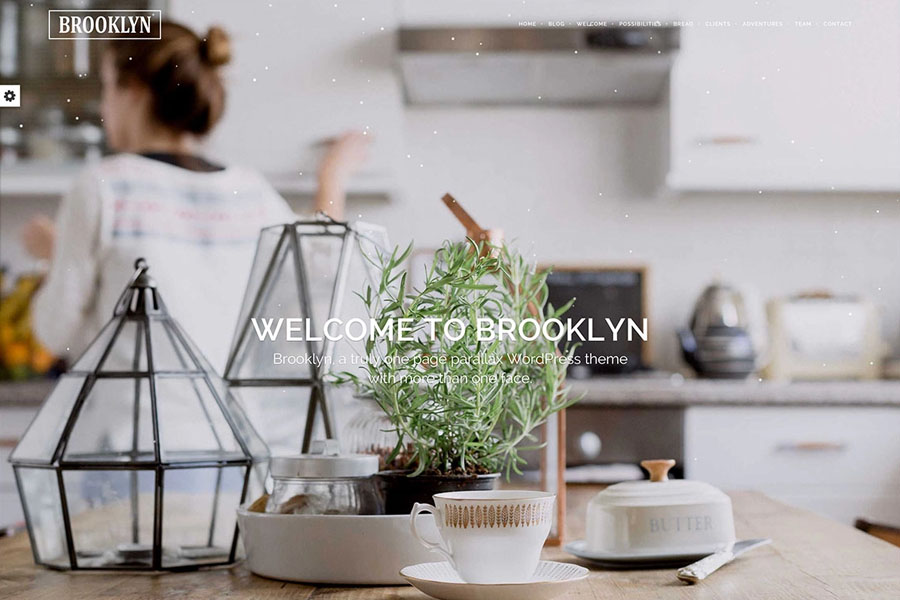 brooklyn-creative-fullscreen-parallax-website-template