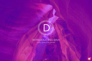 divi - customizable WordPress theme