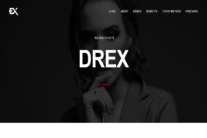 drex wordpress themes for programmer