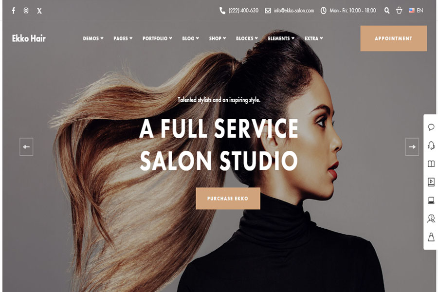 ekko popular wordpress theme