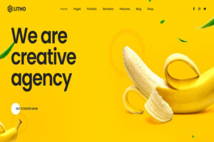 litho creative agency wordpress theme