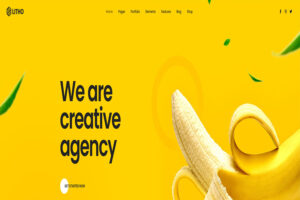 litho customizable wordpress theme