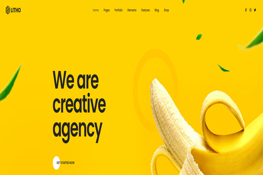 litho customizable wordpress theme