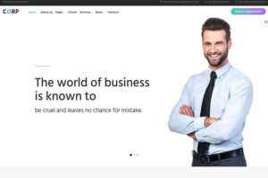 monstroid2 - custom business theme