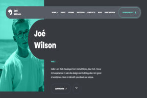 myour wordpress theme for programmers