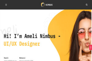 nimbus wordpress theme for programmers
