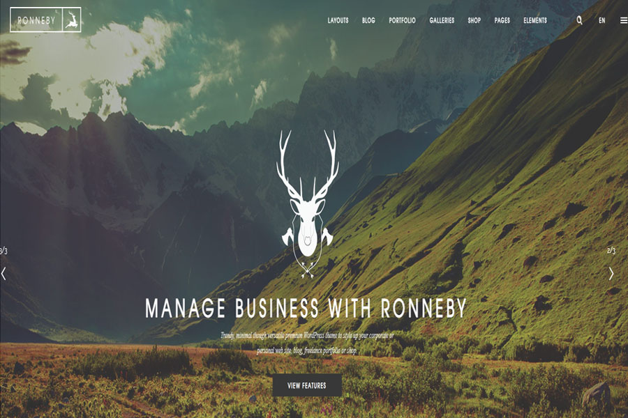 ronneby-multipurpose-wordpress-theme