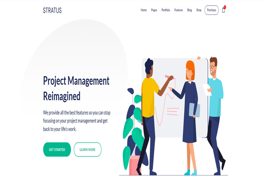 saas wordpress theme