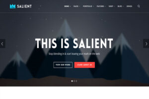 salient-fullscreen-creative-agency-theme