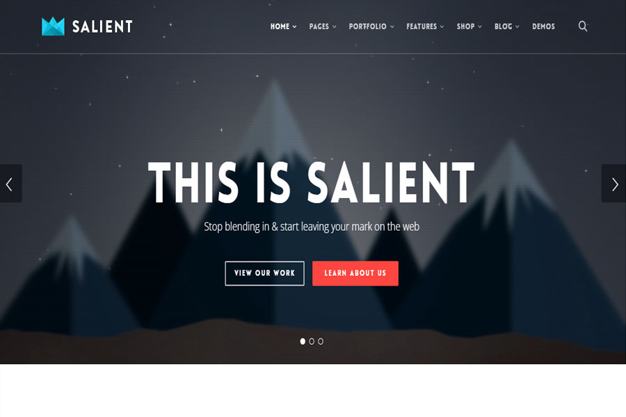 salient-fullscreen-creative-agency-theme