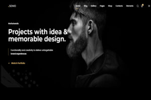 somo wordpress themes for programmer