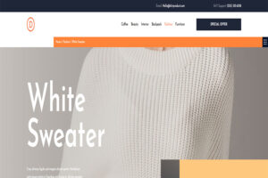 startup wordpress themes