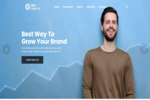 wordpress themes for agencies Massive Dynamic