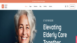 bighearts wordpress theme for non profit organizations