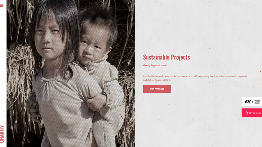 bridge wordpress theme for non profit charity organization