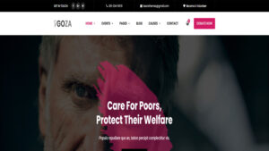 goza wordpress theme for non-profit charity organizations